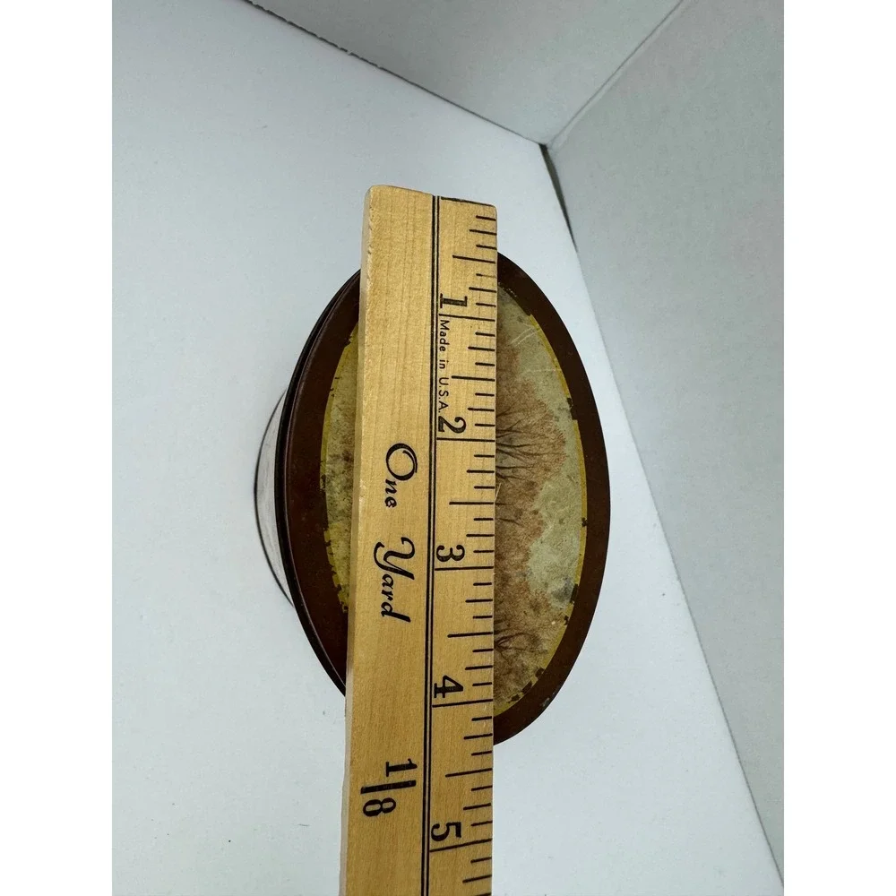 Vintage Hunting Dog Brittany Spaniel Oval Metal Tin Autumn Landscape 5 Inch